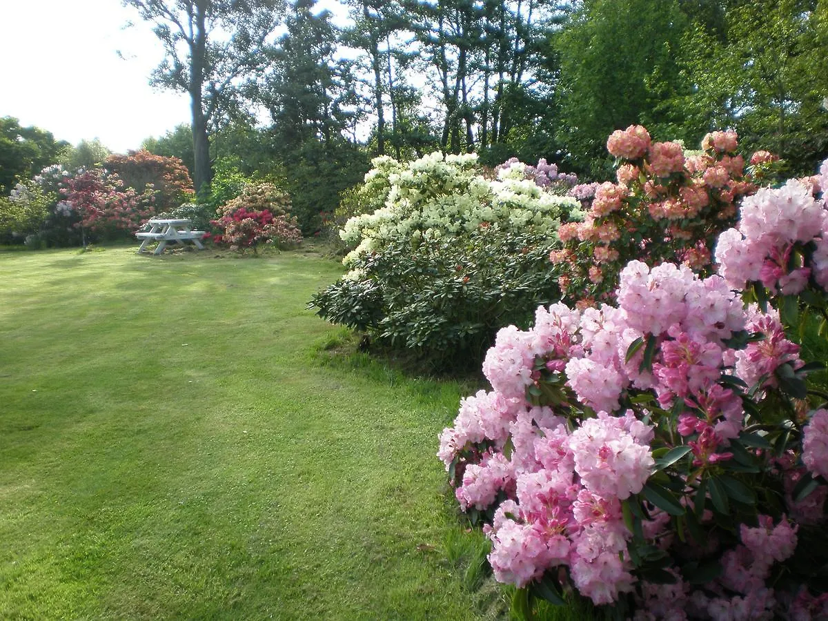 Shamrock Garden B&B Airport Christchurch New Zealand